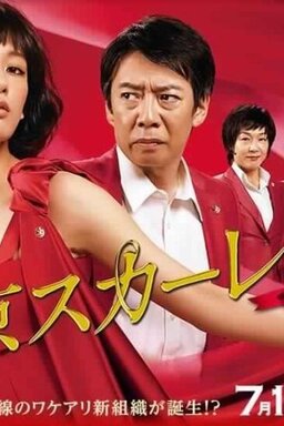 Cover of Tokyo Scarlet: Keishichou NS Kakari