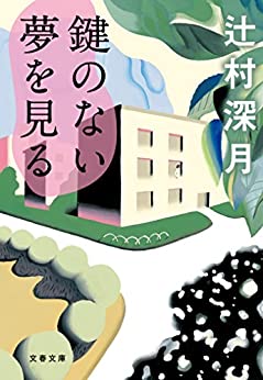 Cover of Kagi no Nai Yume wo Miru