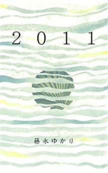 Cover of 2011