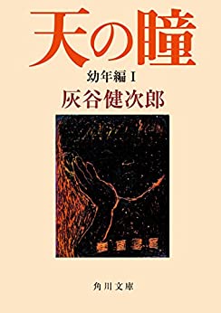 Cover of Ten no Hitomi Younen Hen