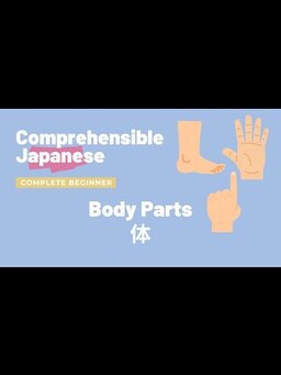 Cover of Body Parts 体 - Complete Beginner Japanese 日本語超初心者